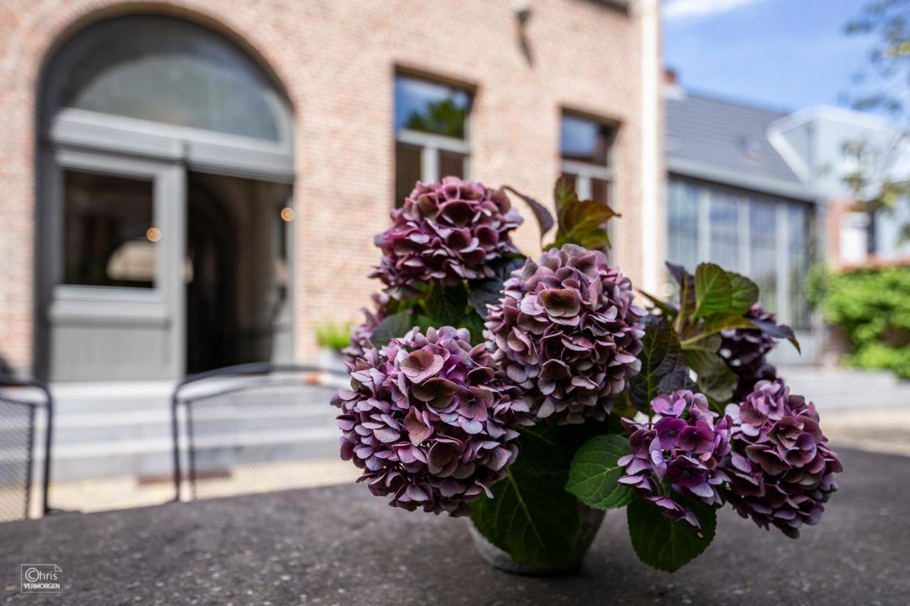 B&B La Corderie Hamme Exteriér fotografie
